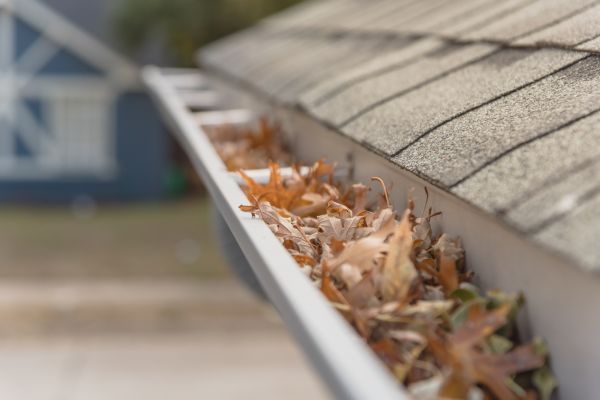 Leaf Barrier Installation in Manassas
